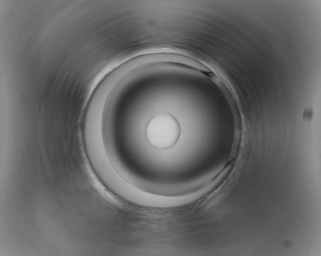 X0000112160813200908281402