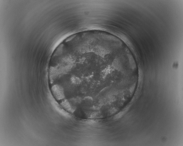 X0000112160814200908281402