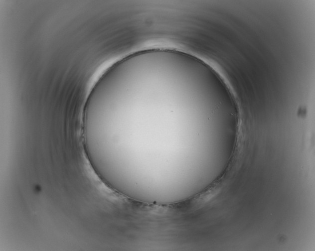 X0000112160815200908281402