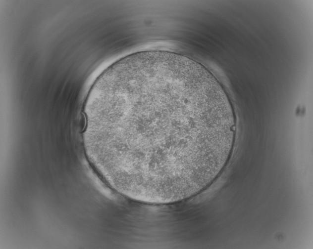 X0000112160816200908281402