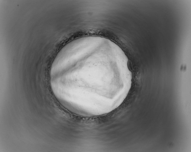 X0000112160817200908281401