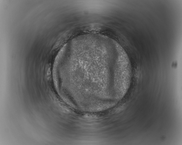 X0000112160818200908281401