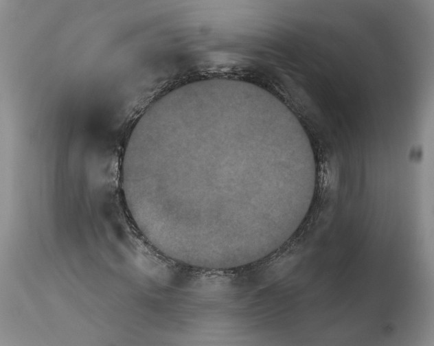 X0000112160820200908281401