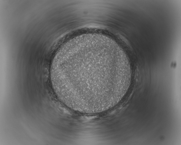 X0000112160821200908281401