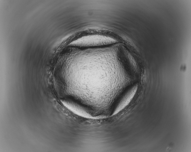 X0000112160822200908281401