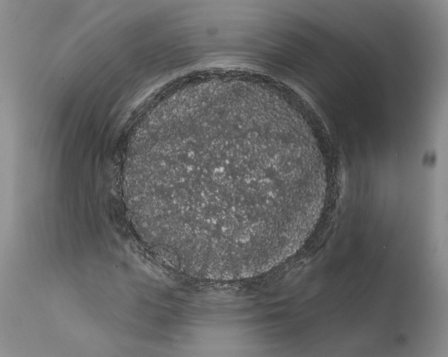 X0000112160823200908281401