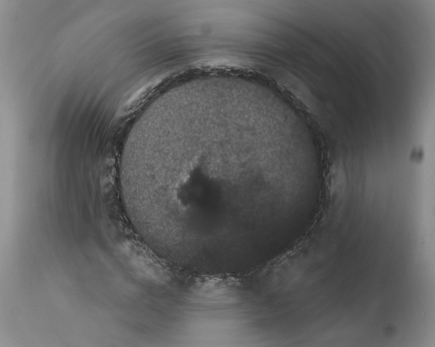 X0000112160824200908281401