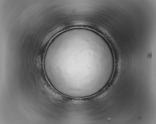 X0000112160825200908281401