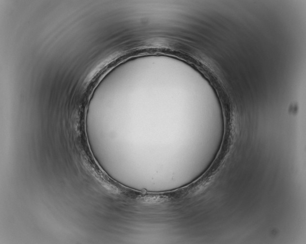 X0000112160826200908281401