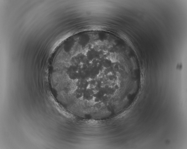 X0000112160827200908281401