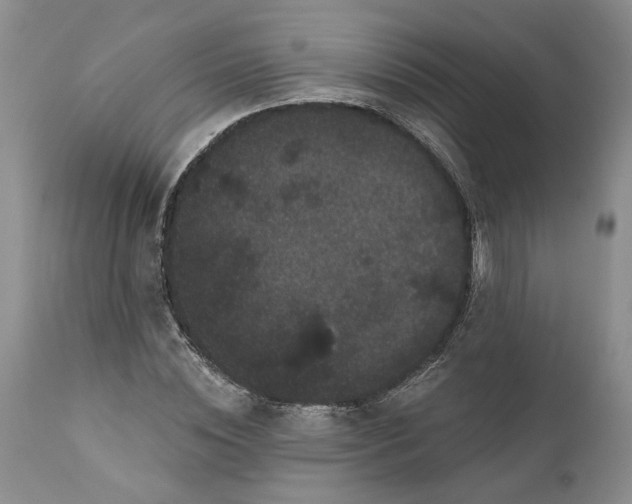 X0000112160828200908281401