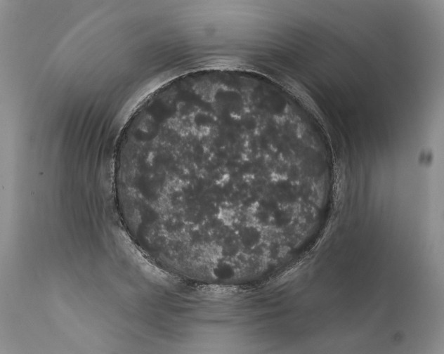 X0000112160831200908281401