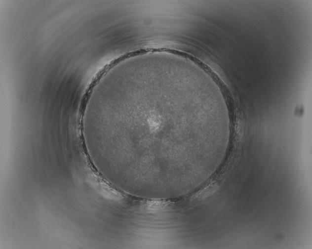 X0000112160832200908281402