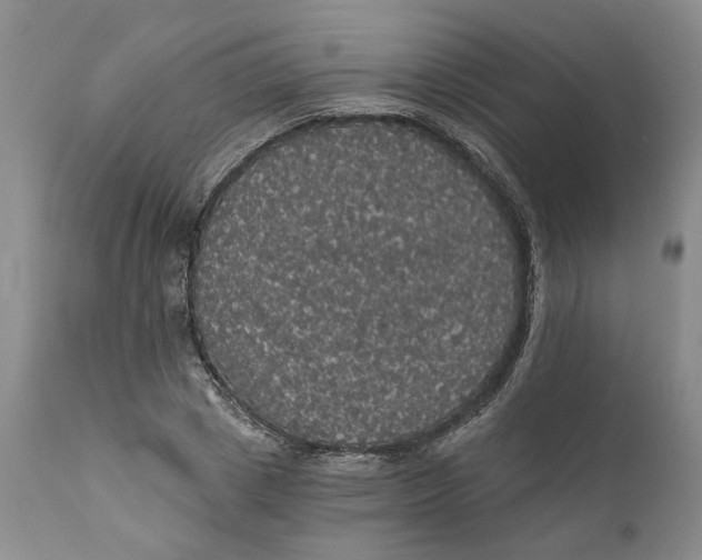 X0000112160833200908281402