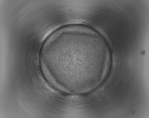 X0000112160834200908281402