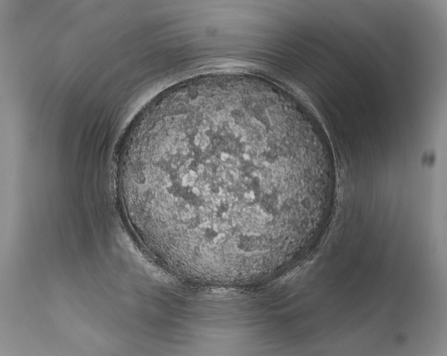 X0000112160835200908281402