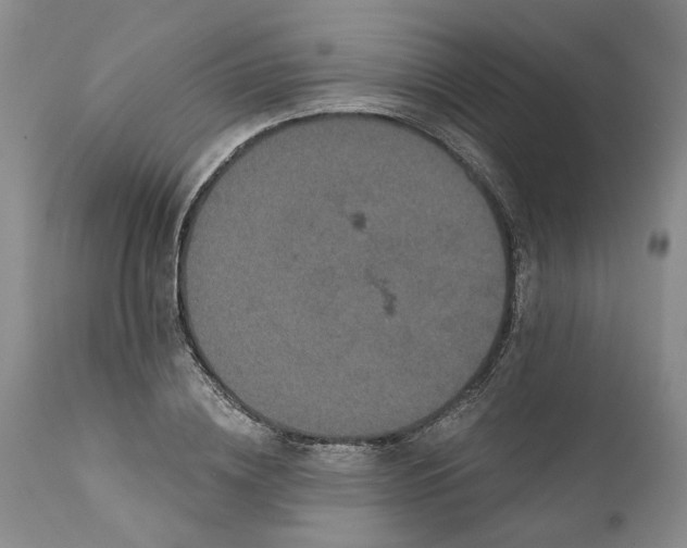 X0000112160836200908281402