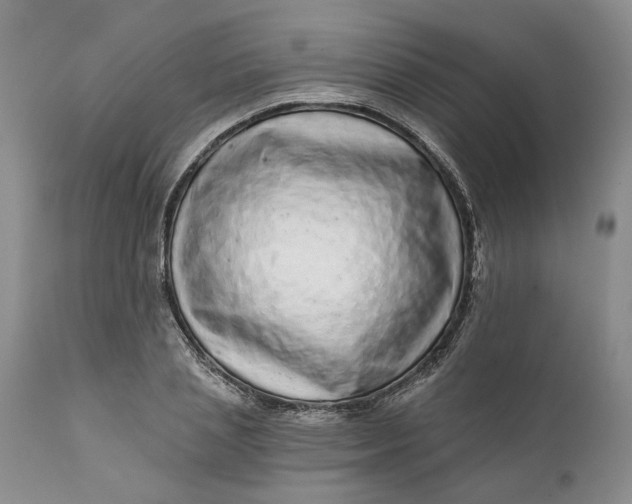 X0000112160837200908281402