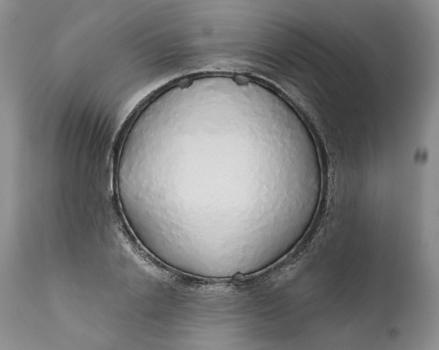 X0000112160838200908281402