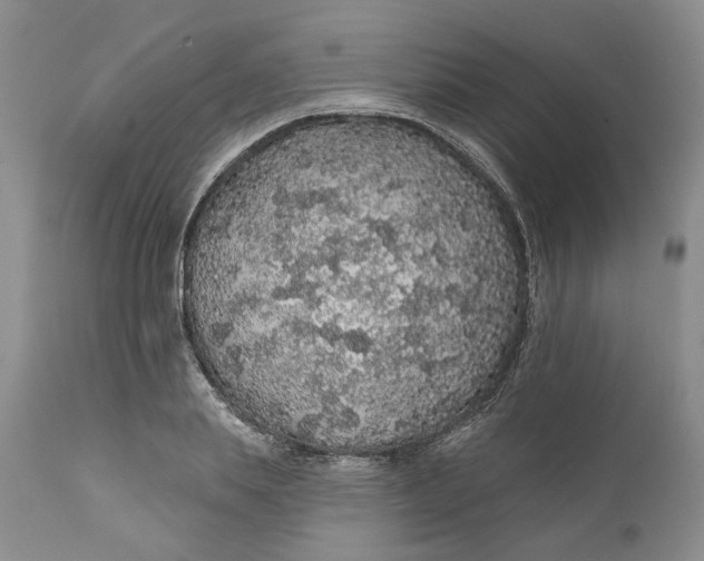 X0000112160839200908281402