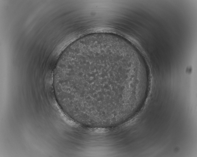 X0000112160841200908281402