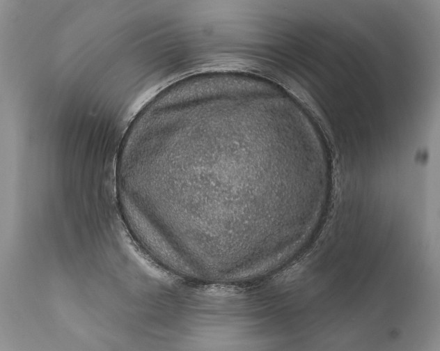 X0000112160842200908281402