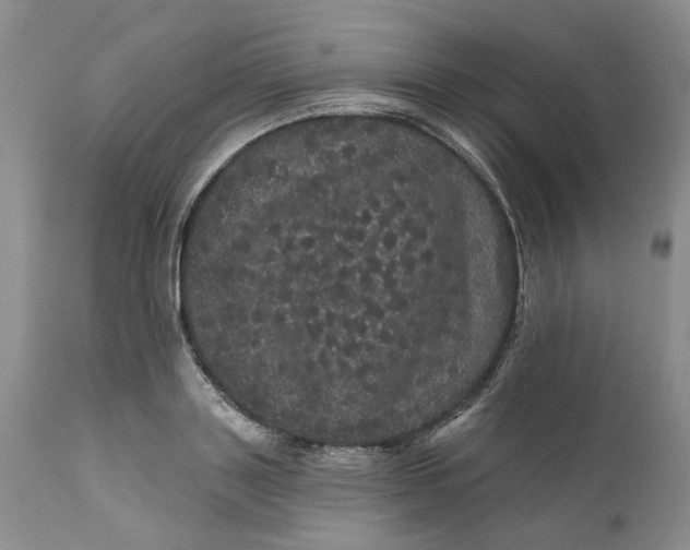 X0000112160843200908281402