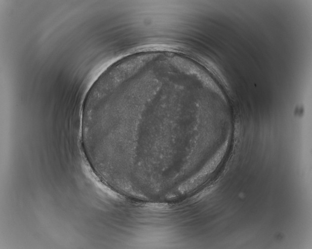 X0000112160844200908281402