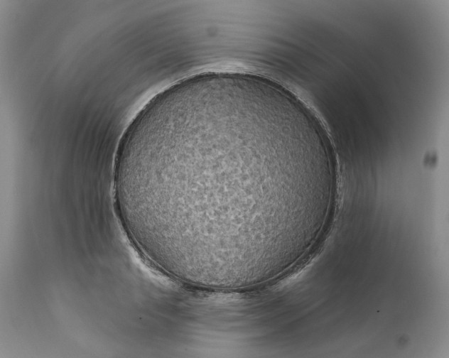 X0000112160845200908281402