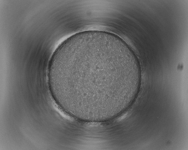 X0000112160846200908281402