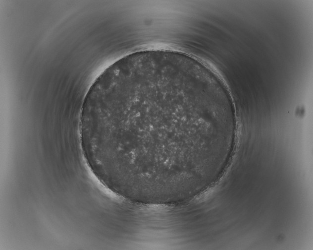 X0000112160847200908281402