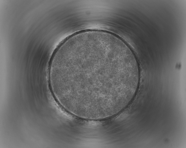 X0000112160848200908281402