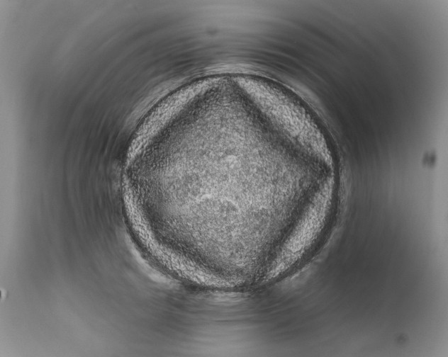 X0000112160849200908281402