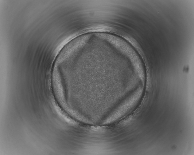 X0000112160850200908281402