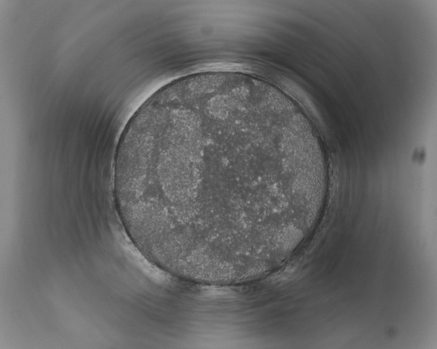 X0000112160852200908281402