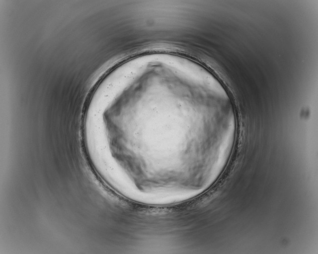 X0000112160853200908281402