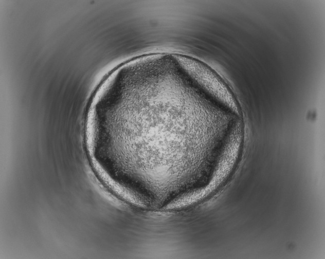 X0000112160854200908281402