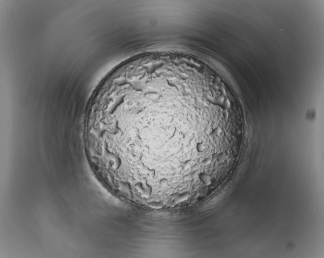 X0000112160855200908281402