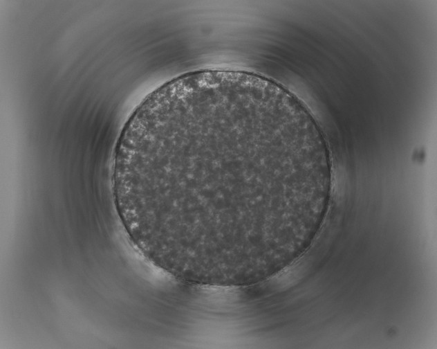 X0000112160856200908281402