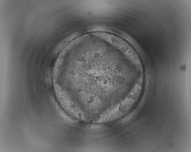 X0000112160857200908281402