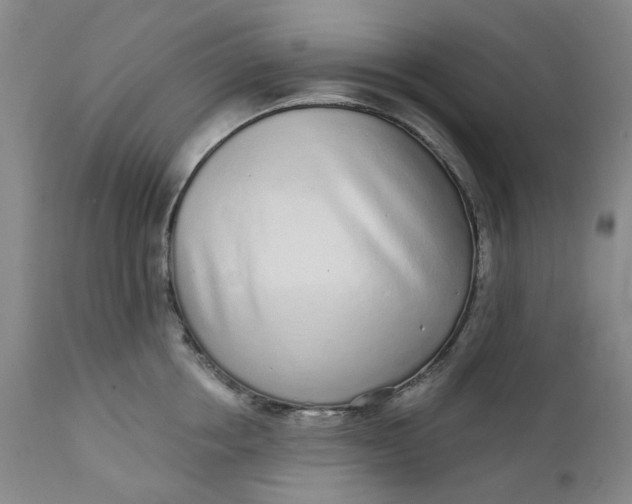 X0000112160858200908281402