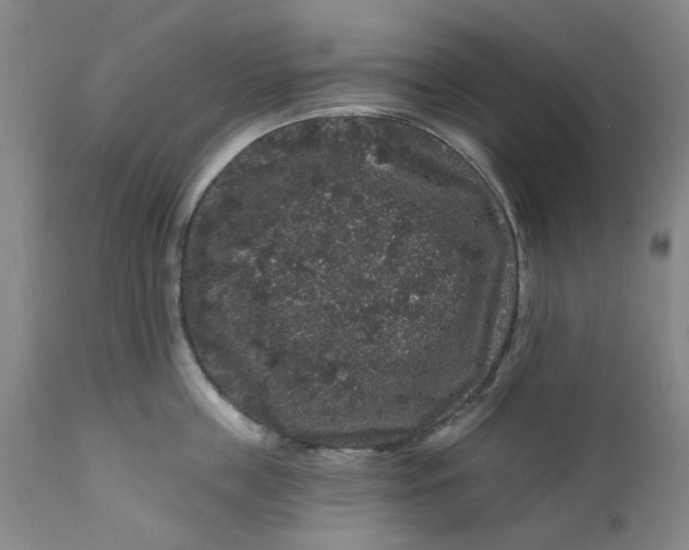 X0000112160859200908281402