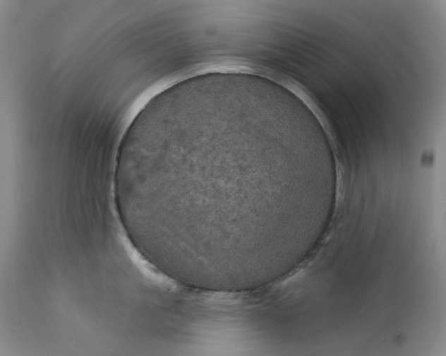 X0000112160861200908281402