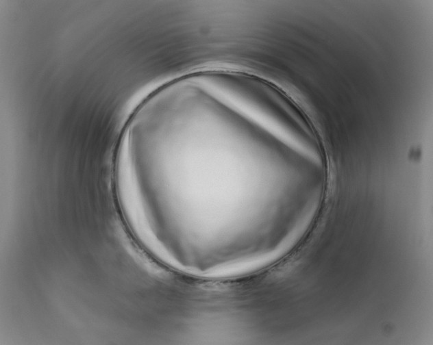 X0000112160862200908281402