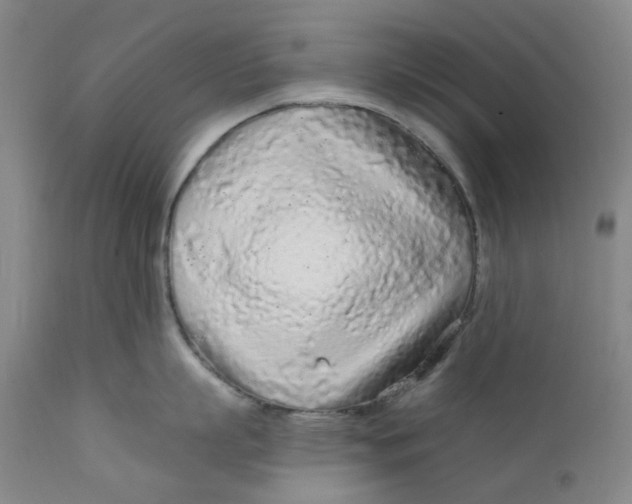 X0000112160863200908281402