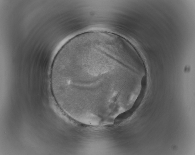 X0000112160864200908281402