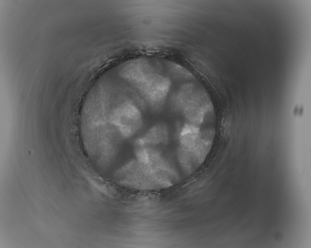 X0000112160865200908281401