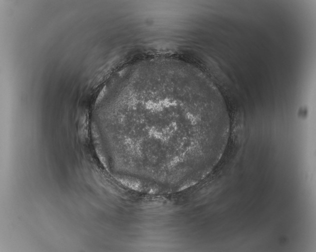 X0000112160866200908281401