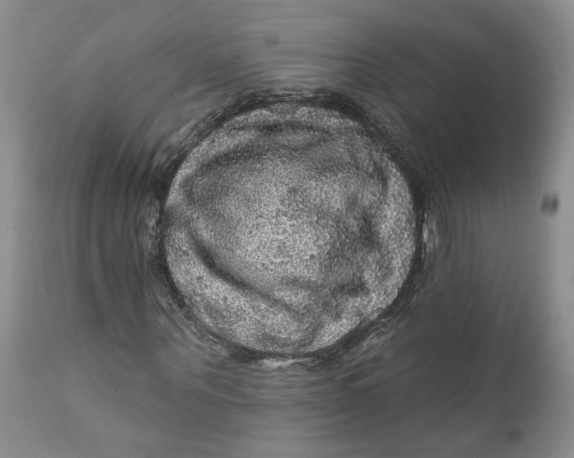 X0000112160867200908281401