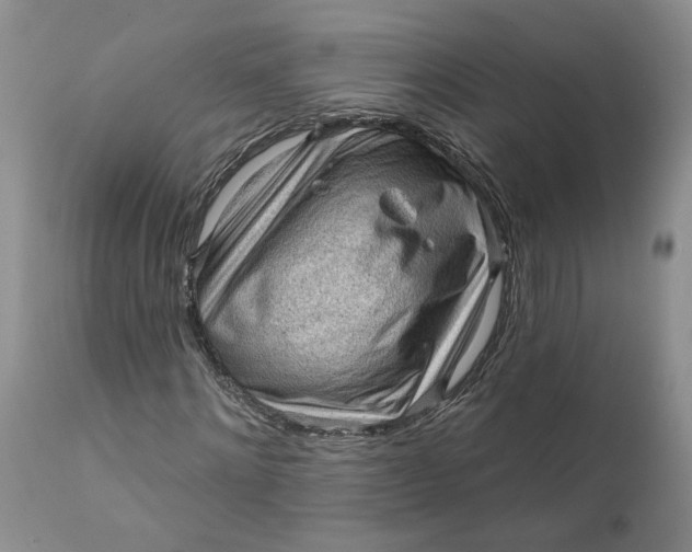 X0000112160868200908281401